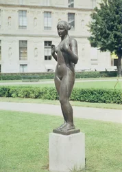 Venus